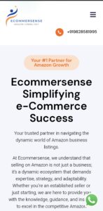 ecommersense.com